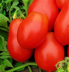 250 roma tomato for sale  Delivered anywhere in USA 