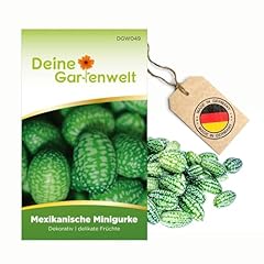 Mexikanische minigurke samen gebraucht kaufen  Wird an jeden Ort in Deutschland