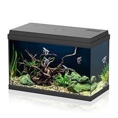 Aqpet acquario vetro usato  Spedito ovunque in Italia 