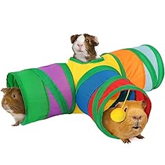 Rypet guinea pig for sale  Delivered anywhere in USA 