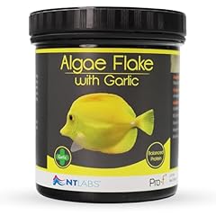 Labs pro algae for sale  Delivered anywhere in UK