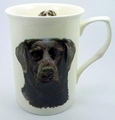 Plate collectors shop for sale  Delivered anywhere in UK