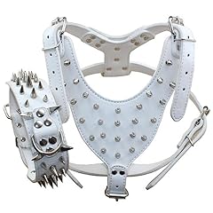 Pimaodog leather spiked for sale  Delivered anywhere in USA 