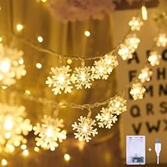 Lecone led lichterketten gebraucht kaufen  Wird an jeden Ort in Deutschland