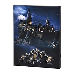 Elbenwald harry potter usato  Spedito ovunque in Italia 