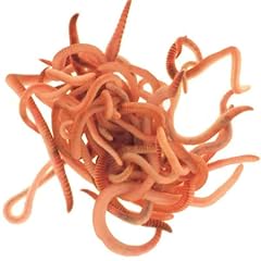 Wiggly wigglers worms for sale  Delivered anywhere in UK