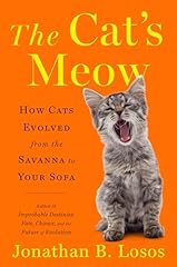 Cat meow cats for sale  Delivered anywhere in USA 
