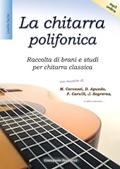 Chitarra polifonica raccolta usato  Spedito ovunque in Italia 