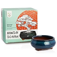Usato, Bonsai vaso (piccolo) in ceramica in blu navy - vaso bonsai rotondo per la perfetta presentazione del vostro bonsai da interno - 9 x 4,5 x 9 cm usato  Spedito ovunque in Italia 