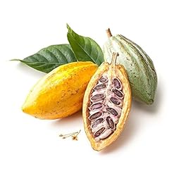 Pezzi semi frutta usato  Spedito ovunque in Italia 