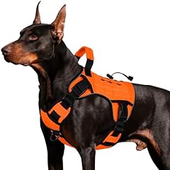Wingoin orange tactical for sale  Delivered anywhere in USA 