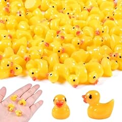 Auejacky mini canard d'occasion  Livré partout en France