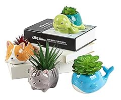 Happyease succulent planters for sale  Delivered anywhere in USA 