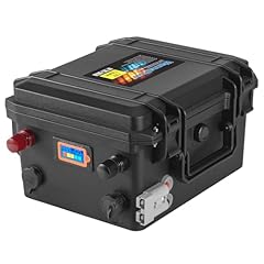 Wannapow batteria litio usato  Spedito ovunque in Italia 