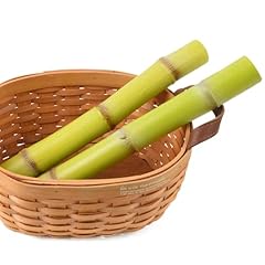 Viociwuo artificial sugarcane for sale  Delivered anywhere in USA 