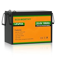 Eco worthy lifepo4 gebraucht kaufen  Wird an jeden Ort in Deutschland