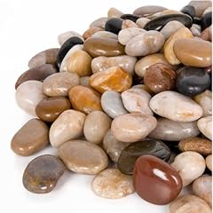 Gaspro 2.5lb decorative for sale  Delivered anywhere in USA 