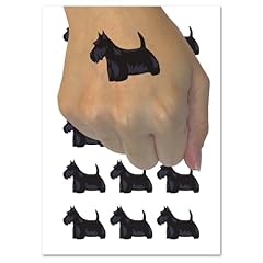 Scottish terrier scottie for sale  Delivered anywhere in USA 