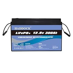 Lifepo4 batteryzellen batteria usato  Spedito ovunque in Italia 
