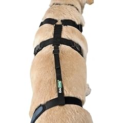 Rtocanis haltegurt kniebandage gebraucht kaufen  Wird an jeden Ort in Deutschland
