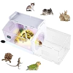 Iarge scale chick for sale  Delivered anywhere in USA 