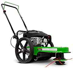 Tazz 40095 walk for sale  Delivered anywhere in USA 
