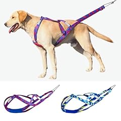 Sled dog chest for sale  Delivered anywhere in USA 