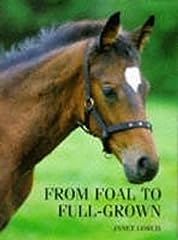 Foal full grown for sale  Delivered anywhere in UK