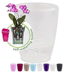 Happyplants orchidea clear for sale  Delivered anywhere in UK