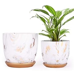 Petswi inch ceramic for sale  Delivered anywhere in USA 