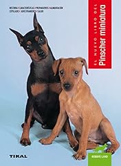Pinscher miniatura d'occasion  Livré partout en Belgiqu