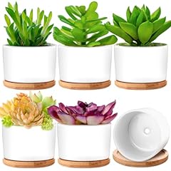 Cindeer pack white for sale  Delivered anywhere in USA 