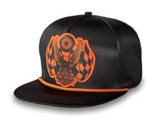 Harley davidson arched gebraucht kaufen  Wird an jeden Ort in Deutschland