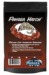 Pangea hatch premium for sale  Delivered anywhere in UK