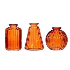 Sass belle amber for sale  Delivered anywhere in UK