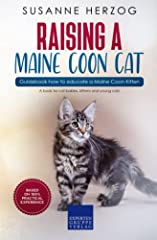 Raising maine coon for sale  Delivered anywhere in Ireland