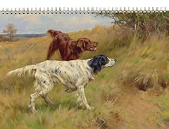 Wall calendar 2026 for sale  Delivered anywhere in USA 