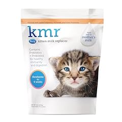 Pet kmr kitten for sale  Delivered anywhere in USA 