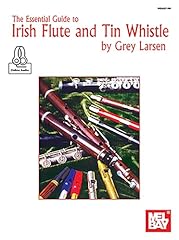 Essential guide irish for sale  Delivered anywhere in UK