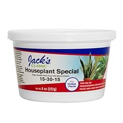 Jack classic houseplant for sale  Delivered anywhere in USA 
