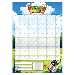 Cricket fundraising scratch for sale  Delivered anywhere in UK