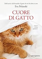 Cuore gatto usato  Spedito ovunque in Italia 