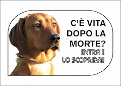 Italy cartello segnaletico usato  Spedito ovunque in Italia 
