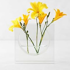 Gallerie clear glass for sale  Delivered anywhere in USA 