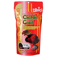 Cichlid gold fish for sale  Delivered anywhere in UK