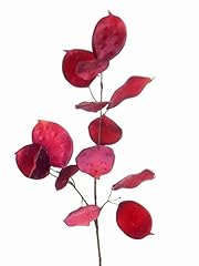Artplants deko zweig gebraucht kaufen  Wird an jeden Ort in Deutschland