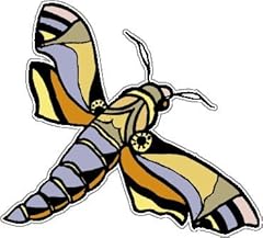 Butterflie acherontia atropos for sale  Delivered anywhere in USA 