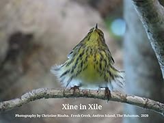 Xine xile photography for sale  Delivered anywhere in UK