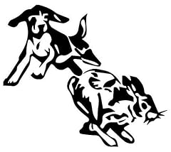 Dog rabbit hunting for sale  Delivered anywhere in USA 