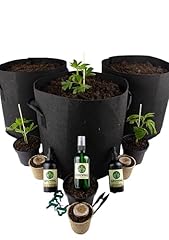 Premium cannabis anbau gebraucht kaufen  Wird an jeden Ort in Deutschland